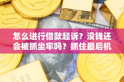 武汉怎么进行借款起诉？没钱还会被抓坐牢吗？抓住最后机会！