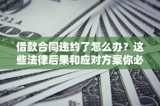 武汉借款合同违约了怎么办？这些法律后果和应对方案你必须知道