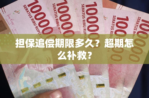武汉担保追偿期限多久？超期怎么补救？