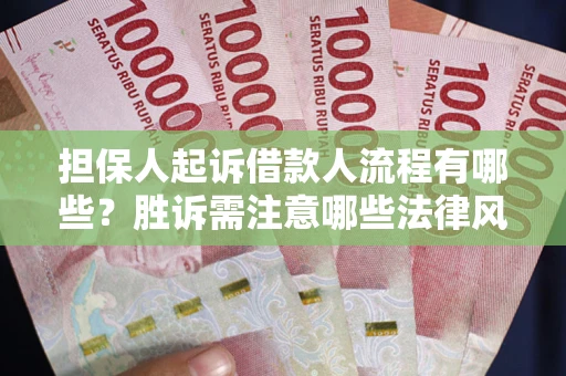 武汉担保人起诉借款人流程有哪些？胜诉需注意哪些法律风险？