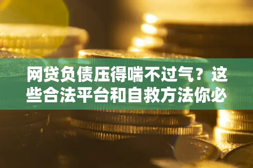 武汉网贷负债压得喘不过气？这些合法平台和自救方法你必须知道！