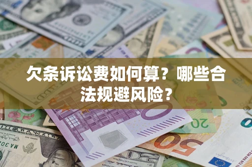 武汉欠条诉讼费如何算？哪些合法规避风险？