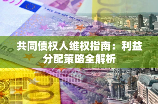 武汉共同债权人维权指南：利益分配策略全解析