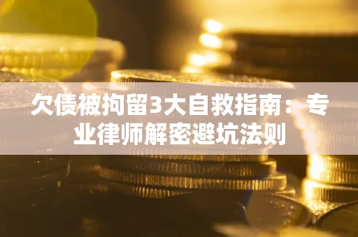 武汉欠债被拘留3大自救指南：专业律师解密避坑法则