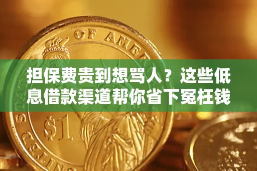 武汉担保费贵到想骂人？这些低息借款渠道帮你省下冤枉钱