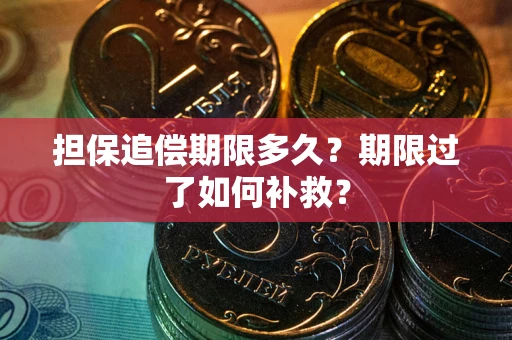 武汉担保追偿期限多久？期限过了如何补救？