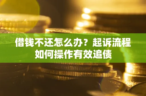 武汉借钱不还怎么办？起诉流程如何操作有效追债