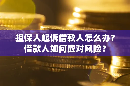 武汉担保人起诉借款人怎么办？借款人如何应对风险？