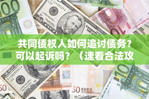 武汉共同债权人如何追讨债务？可以起诉吗？（速看合法攻略）