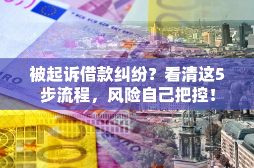 武汉被起诉借款纠纷？看清这5步流程，风险自己把控！