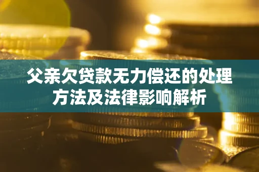 武汉父亲欠贷款无力偿还的处理方法及法律影响解析