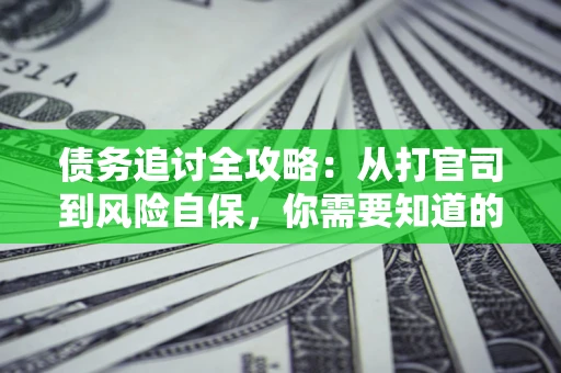 武汉债务追讨全攻略：从打官司到风险自保，你需要知道的法律智慧