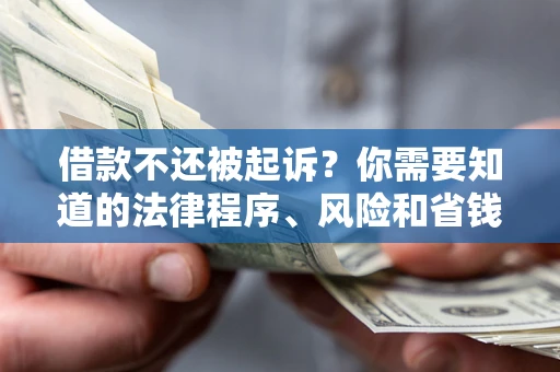武汉借款不还被起诉？你需要知道的法律程序、风险和省钱技巧